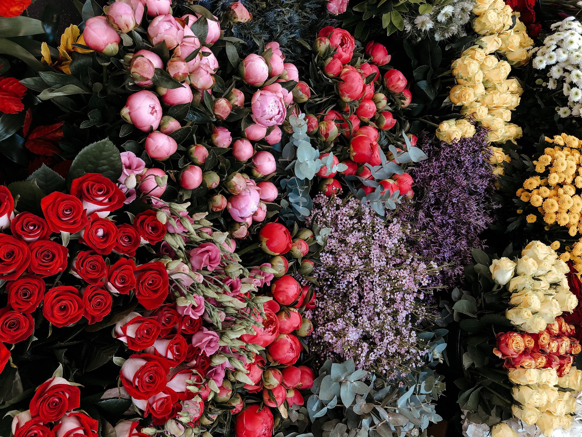 上海小程序開(kāi)發(fā)，上海鮮花批發(fā)商城小程序開(kāi)發(fā)，擁抱行業(yè)新機(jī)遇