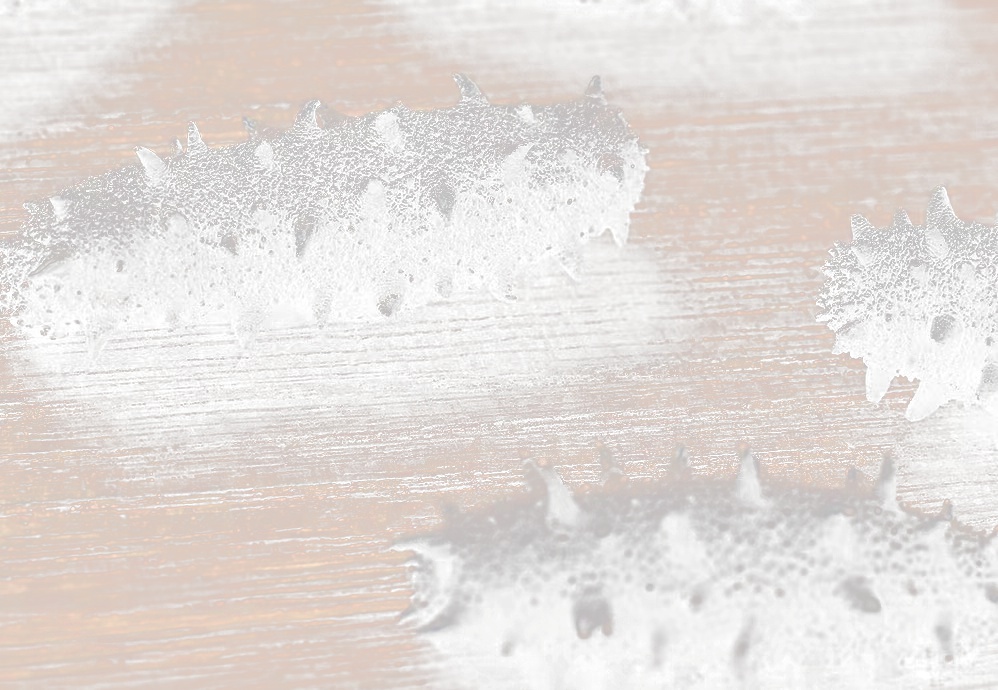 北京小程序開發(fā)，海參電商小程序開發(fā)該如何運(yùn)營(yíng)？