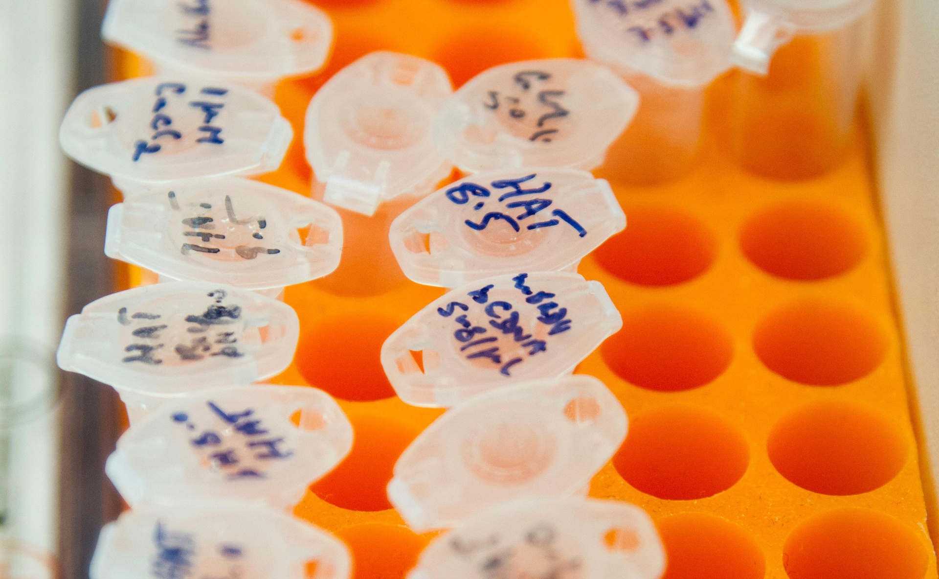 醫(yī)學知識檢索