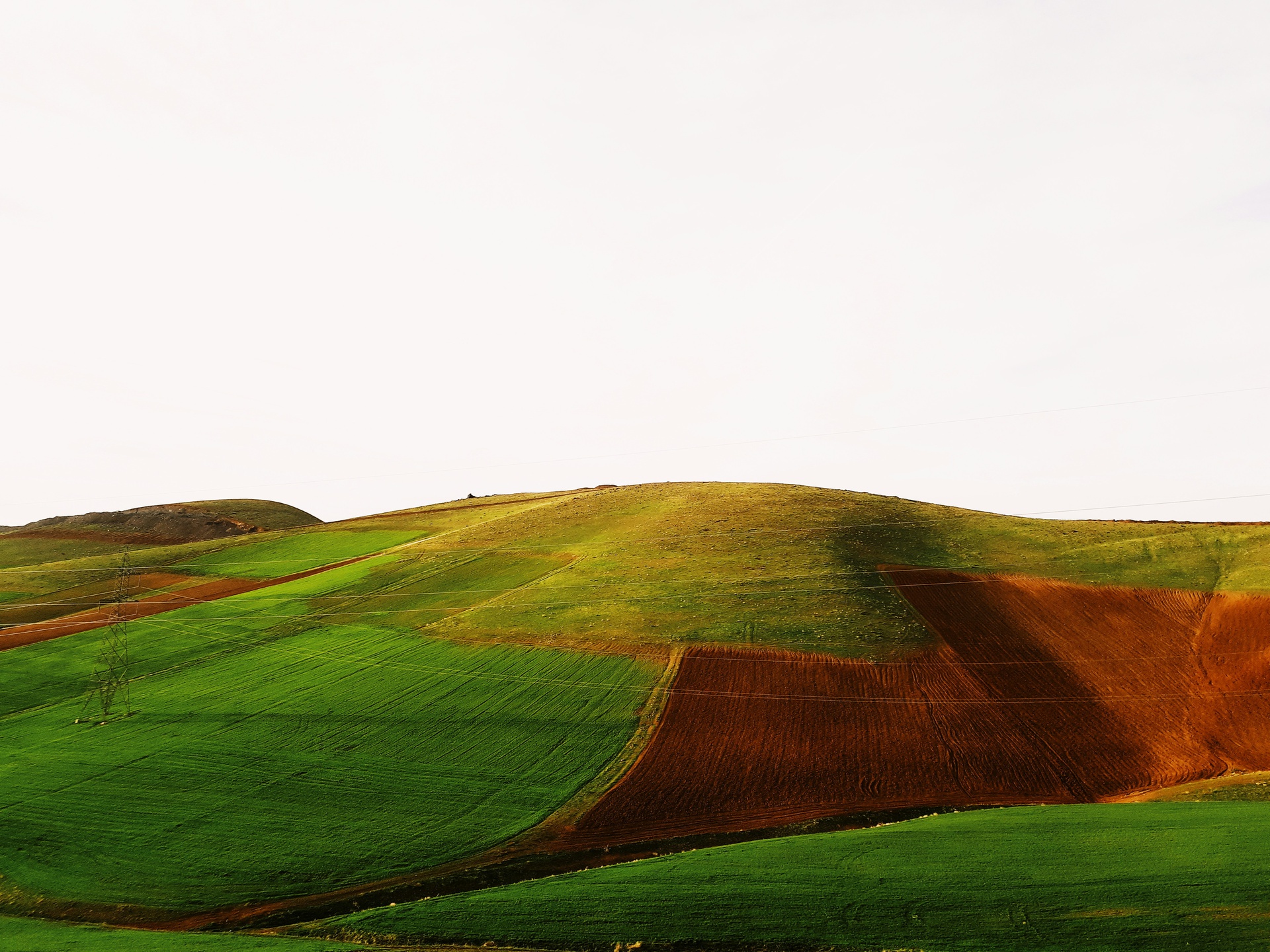 農場運營數(shù)據(jù)統(tǒng)計