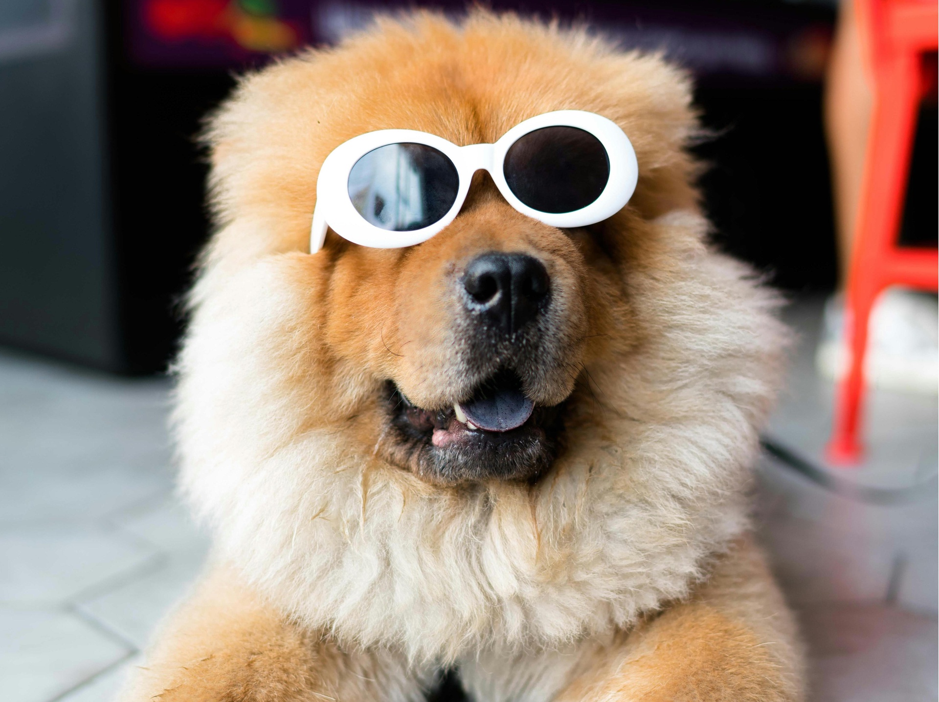 北京娛樂搞笑類App開發(fā)，開啟歡樂新引擎